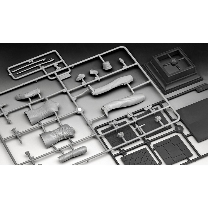 Republican Guard - fot. 6