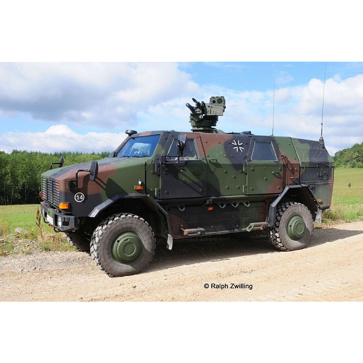 Dingo 2 GE A2.3 PatSi - fot. 8